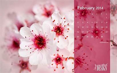 February Desktop Calendar Backgrounds Cherry Blossoms Background