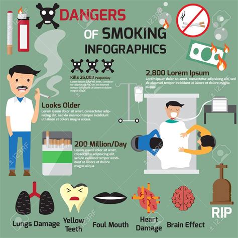 Vector Dangers Of Smoking Infographics Vector Illustration Quit