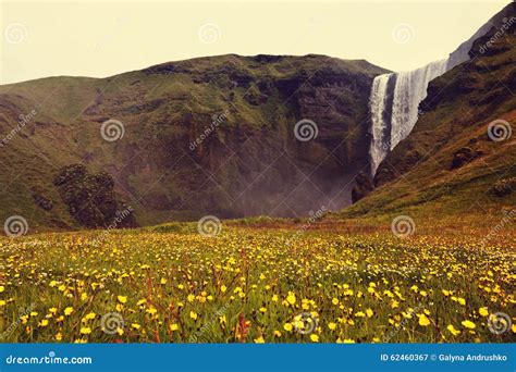 Waterfall In Iceland Stock Image Image Of Lush Nature 62460367