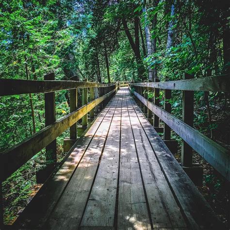 This 14km Elevated Boardwalk Trail Will Lead You To A Rare Turquoise