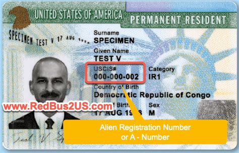 Everything About Uscis Alien Registration Number 2023