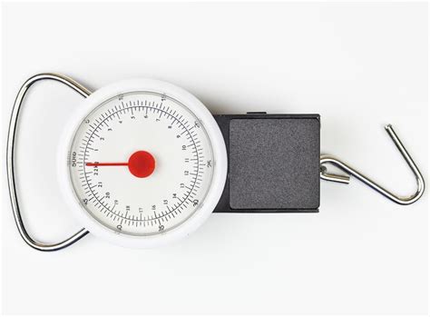 Don't want to break the bank on kitchen scales? cool media net: Kitchen Scales Kmart Nz