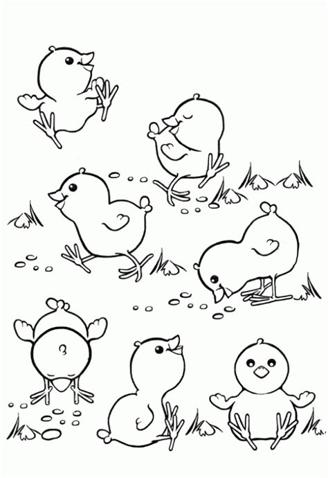 Imagenes Infantiles De Pollito Chicken Coloring Pages Free Coloring