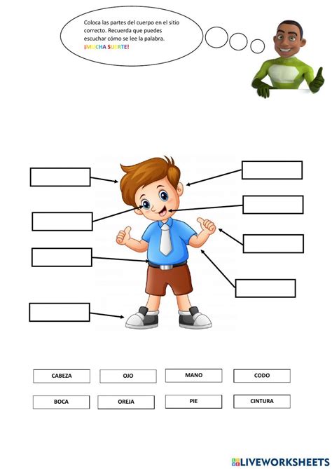 Actividad Interactiva De Partes Del Cuerpo Para Primero De Primaria Puedes Hacer Los E