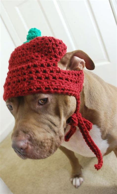 Apple Dog Hat For Large Dogs Crochet Crochet Dog Crochet Dog Hat