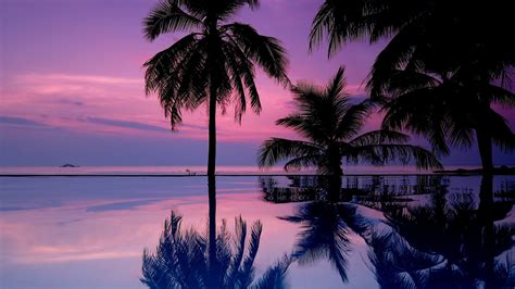 Coconut Trees Reflection On Water Under Purple Cloudy Sky