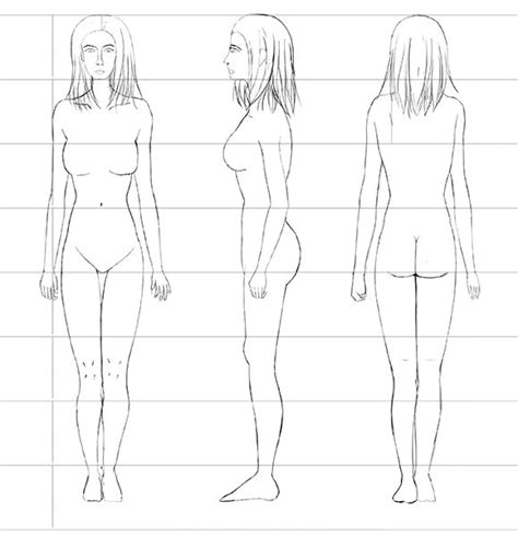 The Female Human Body Proportions How To Get Them Right Using The