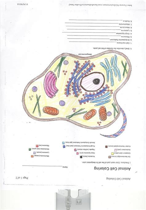 Older students can be challenged to identify. Animal Cell Coloring Key Beautiful Coloring Books 1 Animal ...