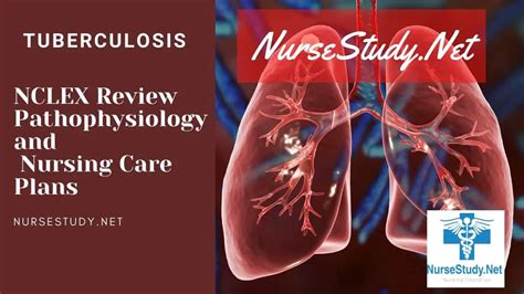 Tuberculosis Tb Nursing Diagnosis Care Plan Nursestudynet