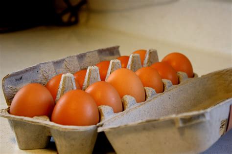 Dozen Eggs Picture | Free Photograph | Photos Public Domain