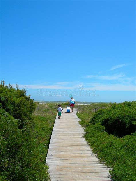 United states, country in north america that is a federal republic of 50 states. Gehweg, Zum In South Carolina Amerika Auf Den Strand Zu Setzen Stockfoto - Bild von ferien ...
