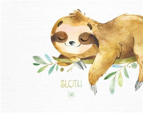 2 photos · curated by anna ion. Sloth. Little animals watercolor clipart sleepy sloths ...