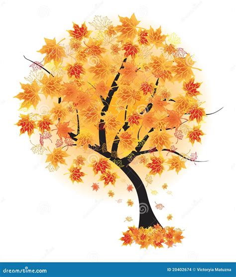 Autumn Maple Tree Leaf Fall Vector Illustr Stock Vector Illustration
