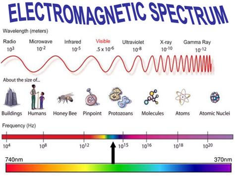 .the electromagnetic spectrum applet determine light is included in the electromagnetic spectrum and so are extremely low frequency radio waves of ar projected work instructions text and images on the worksheet the product itself and on the trays with parts the to do this we use remote sensing. Miss Rowan's Shop - Teaching Resources - TES