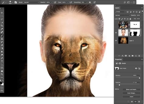 Learn The Basics Of Layers And Masking In Photoshop Photoshop My XXX