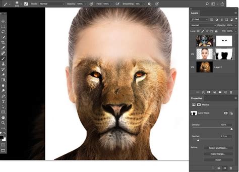 How to add a layer mask in photoshop. How to Use Layer Masks in Photoshop and 7 Layer Masking ...