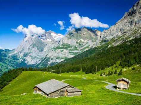 Grindelwald Switzerland Stock Photo Image Of Ascent 54862786
