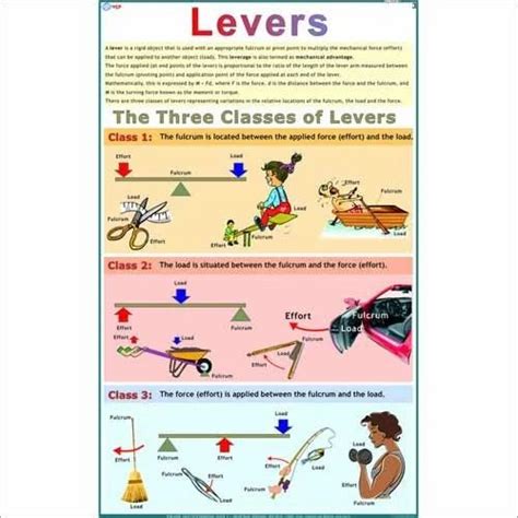 Different Types Of Levers