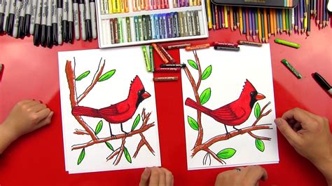 How To Draw A Cardinal Art For Kids Hub