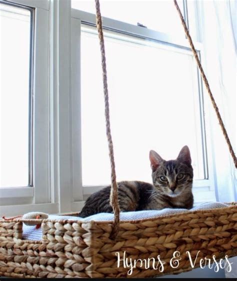 Catify Your Home With These Purrrfect Diy Projects For Cats Style Curator