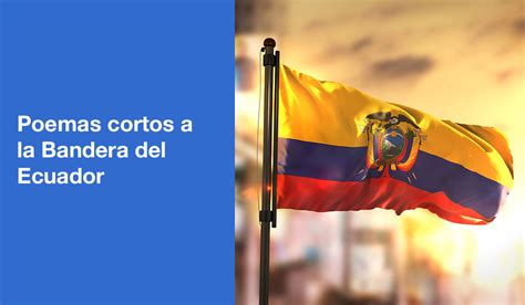 7 Poemas Cortos A La Bandera Del Ecuador Descubre La Esencia De