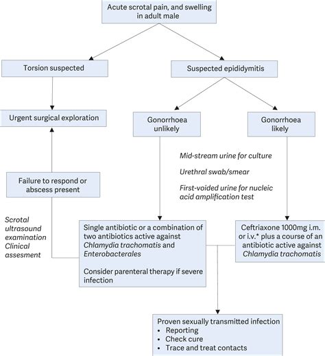 National Antibiotic Guideline 2019 Tim Ball