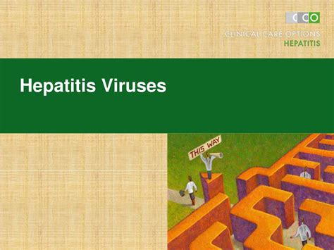 Ppt Hepatitis Viruses Powerpoint Presentation Free Download Id