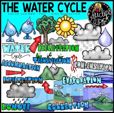The Water Cycle Clip Art Bundle Color And Bandw Edu Clips