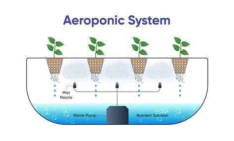 How To Build A Diy Aeroponics System Ponics Life