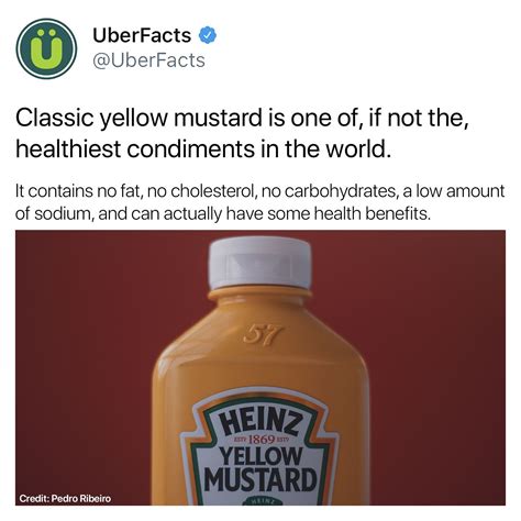 For The Mustard Fans Funny Facts Unique Facts Weird Facts 28500 Hot Sex Picture