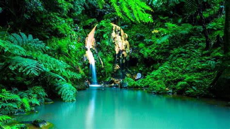 Waterall On Rocks In Trees Covered Jungle 4k Hd Jungle Wallpapers Hd