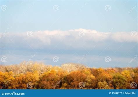 Landscape With Trees Against The Sky Stock Image Image Of Gold Light