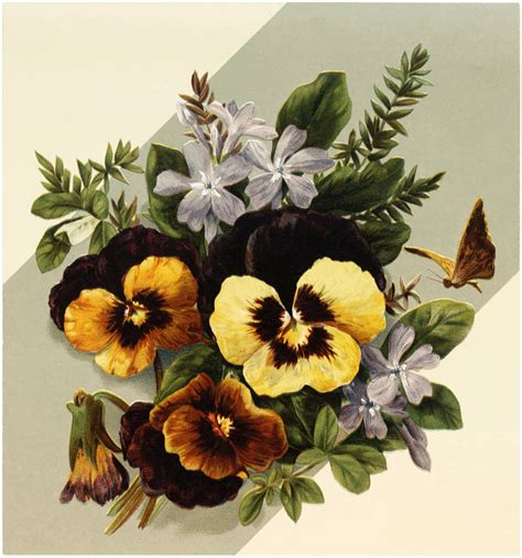 Pretty Vintage Pansy Picture The Graphics Fairy