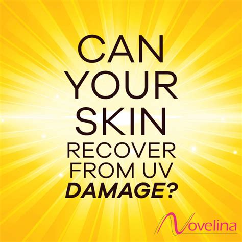 Can Your Skin Recover From Uv Damage Novelina Cosmetics