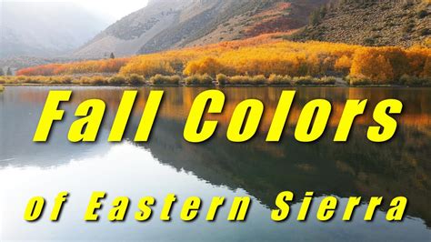 Fall Colors Of Eastern Sierra Mono And Inyo Counties Bishop California