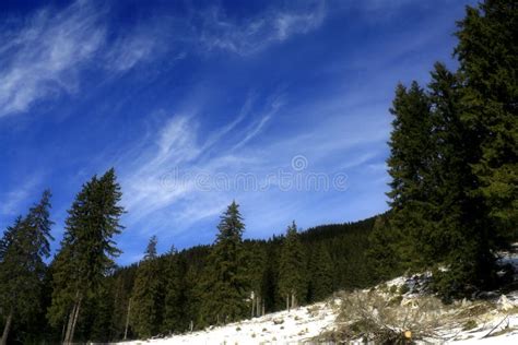 Deep Blue Sky Stock Image Image Of Beauty Mountain Forest 7569107