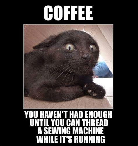 I dont need an inspirational q. Need More Coffee... | Coffee humor, Funny animal pictures ...