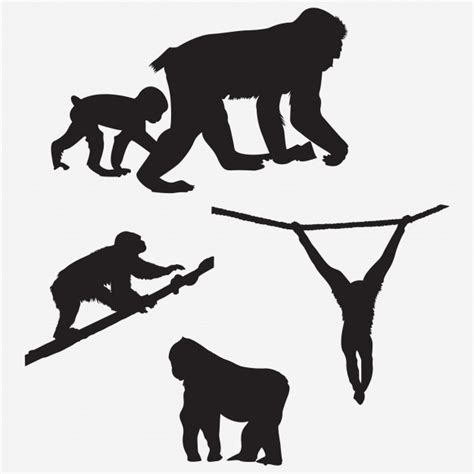 Free Free 112 Silhouette Monkey Svg Free SVG PNG EPS DXF File