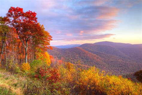 2020 Fall Foliage In The Smoky Mountains Official Informationpigeon