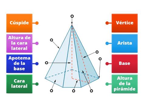 Partes De Una Pirámide Diagrama Con Etiquetas