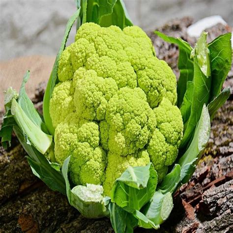 Cauliflower Green Verde Seeds Buy Seeds Online At Best Price In India