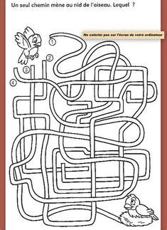 underground animal coloring pages  coloring pages