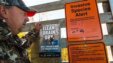 how to stop the spread of invasive species youtube