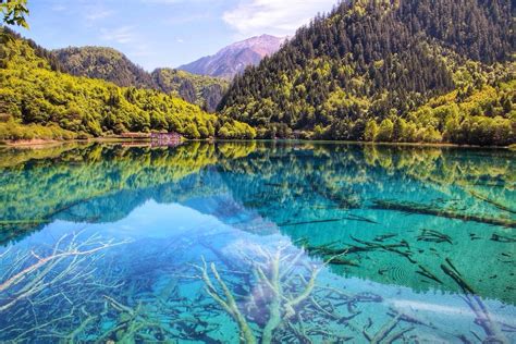 Jiuzhai Valley National Park Aba China Five Flower Lake In
