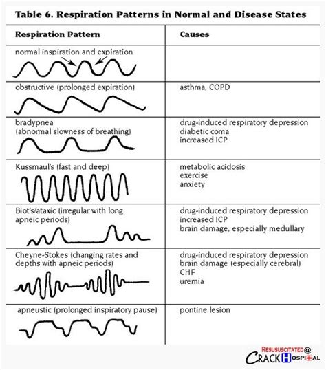 Respiratory Breathing Patterns