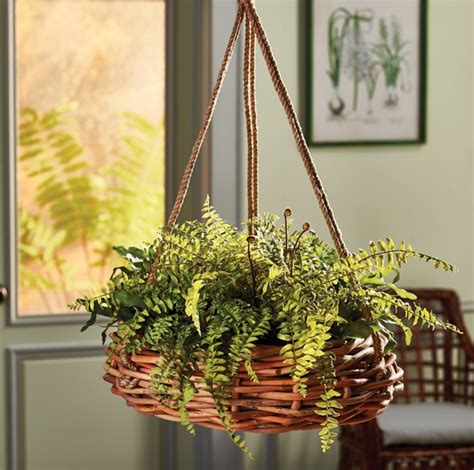 Rattan Hanging Basket Napa Home And Garden Free Shipping
