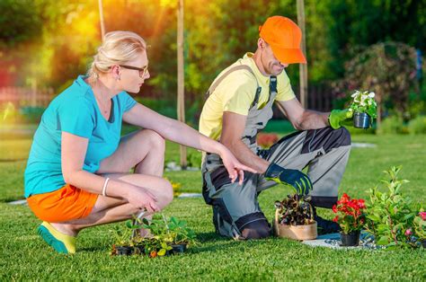 How To Hire A Landscape Contractor — Clca San Fernando Valley Chapter