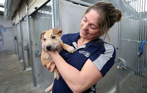 Animal Rescue Jobs Near Me - TERELET