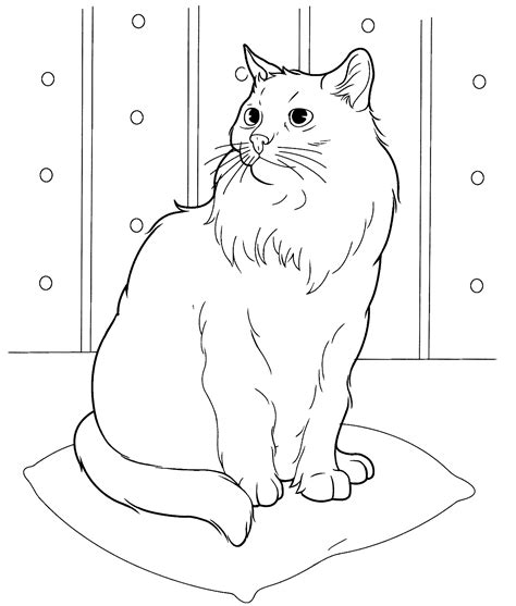 Easy Cat Face Coloring Coloring Pages