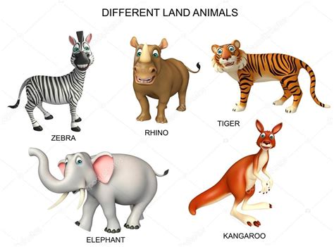 Group Of Animal Chart Stock Illustration By ©visible3dscience 102414388